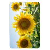 4x6 flat Magnet Magneet (Verticaal)