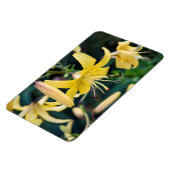 4x6 flat Magnet Magneet (Linkerzijde)