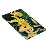 4x6 flat Magnet Magneet (Rechterzijde)