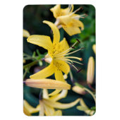 4x6 flat Magnet Magneet (Verticaal)