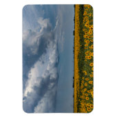 4x6 flat Magnet Magneet (Verticaal)