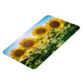 4x6 flat Magnet Magneet (Linkerzijde)