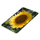 4x6 flat Magnet Magneet (Linkerzijde)