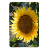 4x6 flat Magnet Magneet (Verticaal)