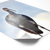 4x6 foto van kraan afdruk (Hoek)