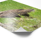 4x6 fotovalk foto afdruk (Hoek)