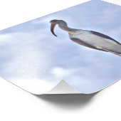 4x6 photo de grue (Coin)