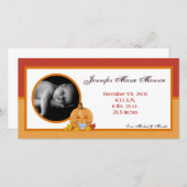 4x8 Automne Automne Citrouille Faire-part de naiss (Devant / Derrière)