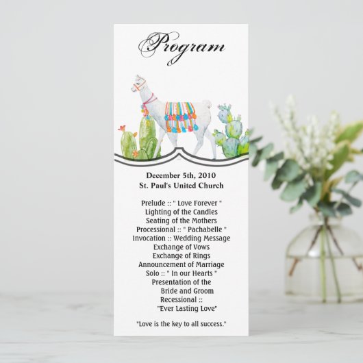 4x9.25 Cartes de programme Boho Llama Cactus bohèm (Debout devant)