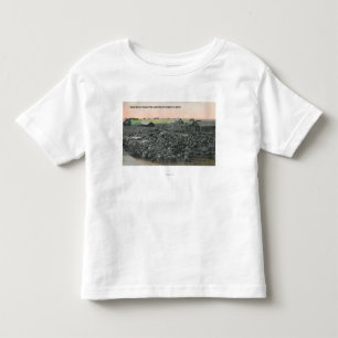 5000 schapen klaar voor ShippingChester, MT Kinder Shirts