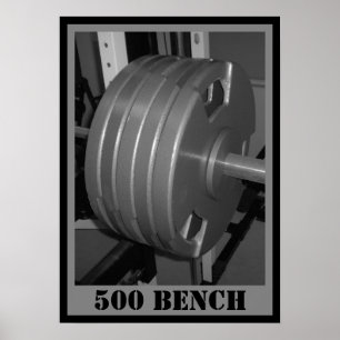 500-BENCH Poster