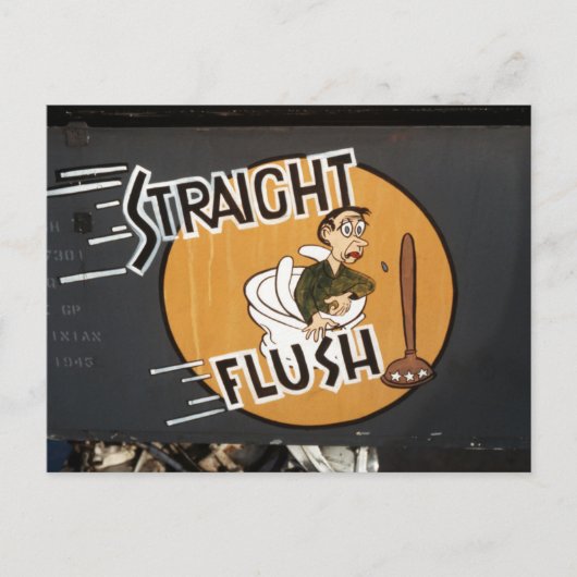 ☆ 509e ☆ Wing FB-111A-vliegtuig Briefkaart (Voorkant)