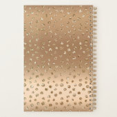 50 et fabuleux Glam Chic Girly Gold Black Blush (Dos)