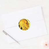 $50 Gouden Munt 3" Stickers (Envelop)