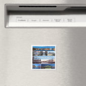 50 MAGNEET (Insitu (Vaatwasser))