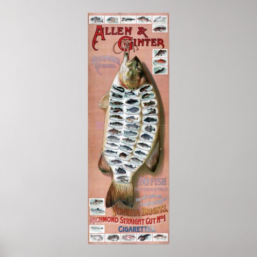 50 poissons du Poster vintage des eaux américaines (Devant)