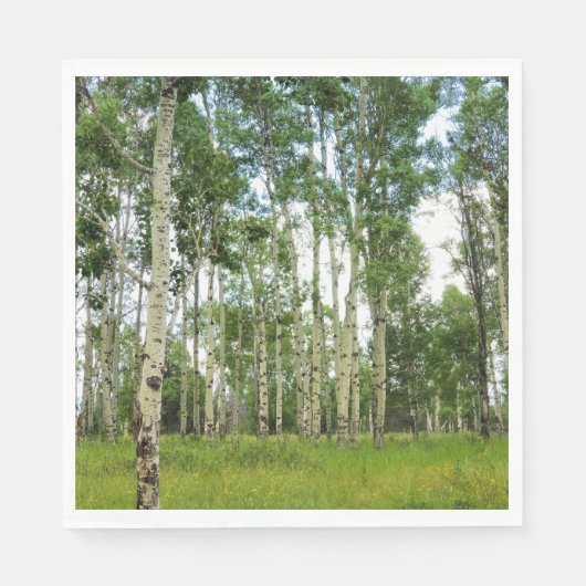 50 serviettes en papier Quaking Aspens (Devant)