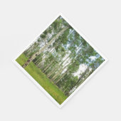 50 serviettes en papier Quaking Aspens (Coin)