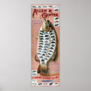 50 Vissen uit Amerikaanse Wateren Vintage Poster