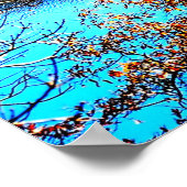 50 X 27 LAKE JUNALUSKA PREMIUM CANVAS GLOSS POSTER (Coin)