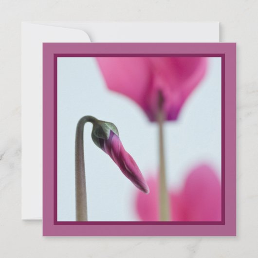 50e anniversaire Invitation de fleurs roses (Devant)