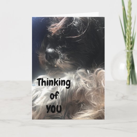 "50e BIRTHDAY" DENKT VAN JE DAT IK ALTIJD DOE! Kaart (Voorkant)