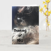 "50e BIRTHDAY" DENKT VAN JE DAT IK ALTIJD DOE! Kaart (Gele Bloem)