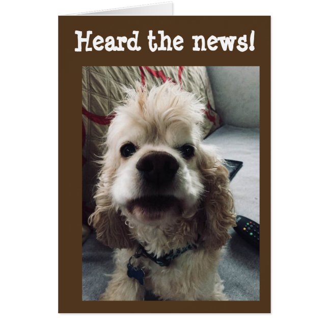 **50e BIRTHDAY** HUMOR UIT PUP (Voorkant)