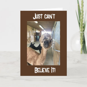 "50e BIRTHDAY??? JE KAN NIET GELOVEN DAT IT Kaart