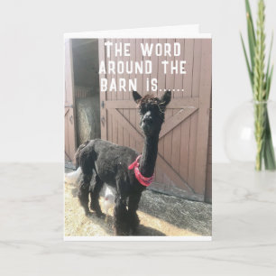 "50e BIRTHDAY??? JE KAN NIET GELOVEN DAT IT Kaart