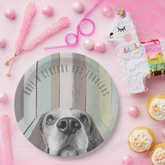 50e verjaardag een halve eeuw en fantastisch papieren bordje (Feest)