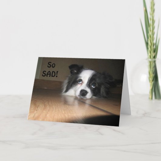 50e VERJAARDAG - U KUNT NOG STEEDS SPELEN Kaart (Voorkant)