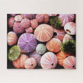 520-delige Zee Egeltjes Puzzel (Horizontaal)