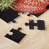 520-delige Zee Egeltjes Puzzel (Zijkant)