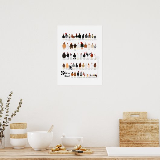 52 breeds of chickens poster (Cuisine)