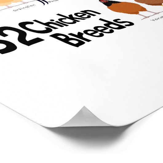 52 breeds of chickens poster (Coin)