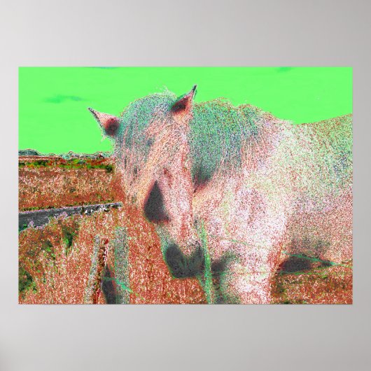 52 POSTER (Voorkant)