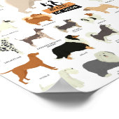 52 Poster Des Chiens De Race (Coin)
