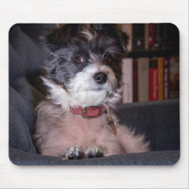 5328 - Vrolijk Anna de Papijack Hond Muismat