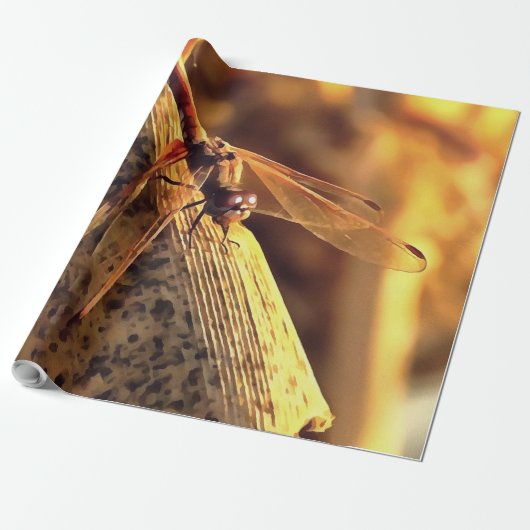 534424932Elegant Red Darter Dragonfly Insect Art Cadeaupapier (Uitgerold)
