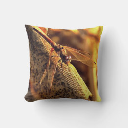 534424932Elegant Red Darter Dragonfly Insect Art Kussen