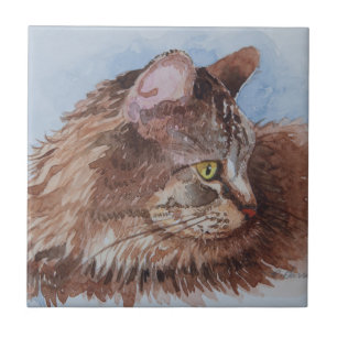 5352 Kat Tegeltje