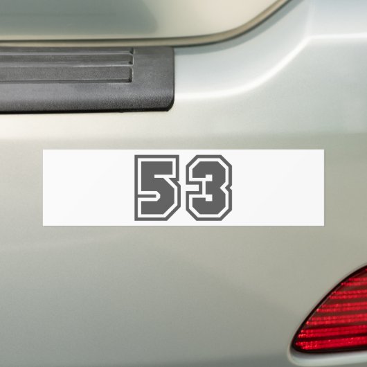 53 BUMPERSTICKER (Op auto)
