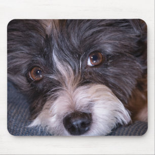 5402 - Vrolijk Anna de Papijack Hond Muismat