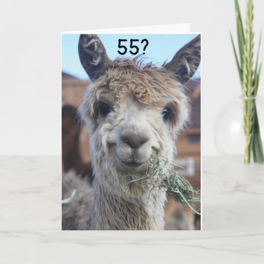 **55** IK KAN NIET GELOVEN DAT HET ZEGT LLAMA KAAR KAART (Voorkant)