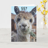 **55** IK KAN NIET GELOVEN DAT HET ZEGT LLAMA KAAR KAART (Gele Bloem)