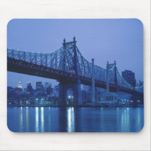 59th Street-brug, New York, VS Muismat