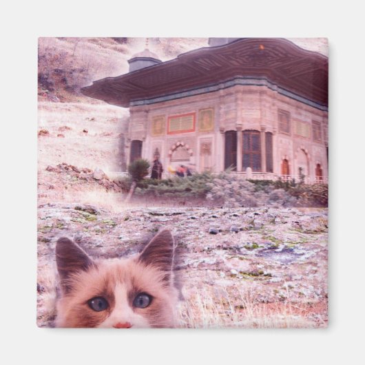 5,1 cm vierkante magneet kat (Voorkant)