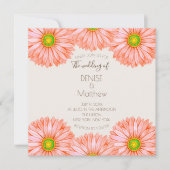 5,25 inch x 5,25 inch Apricot Gerbera Huwelijksuit Kaart (Voorkant)