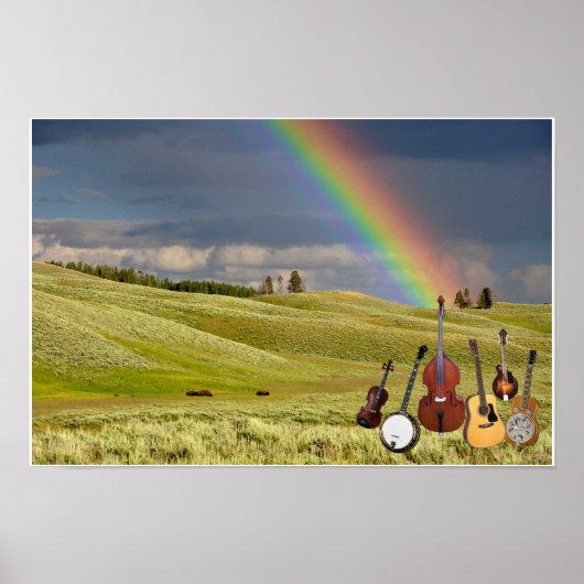 5 BLUEGRASS BAND POSTER (Voorkant)